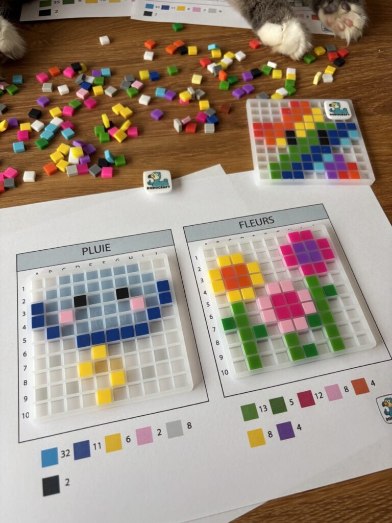 Modèle sous la grille transparente