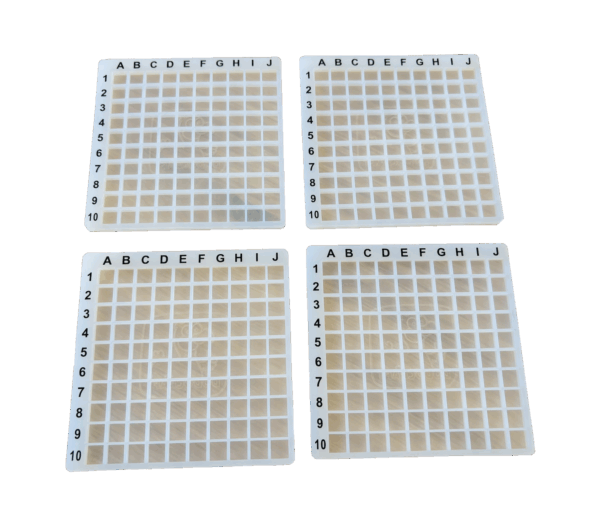 Grille 10x10 ave repères