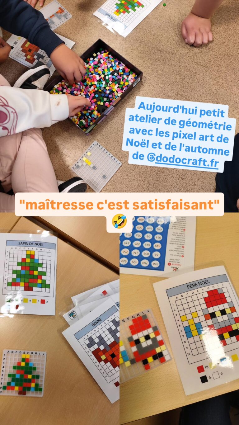 Dodocraft atelier en classe